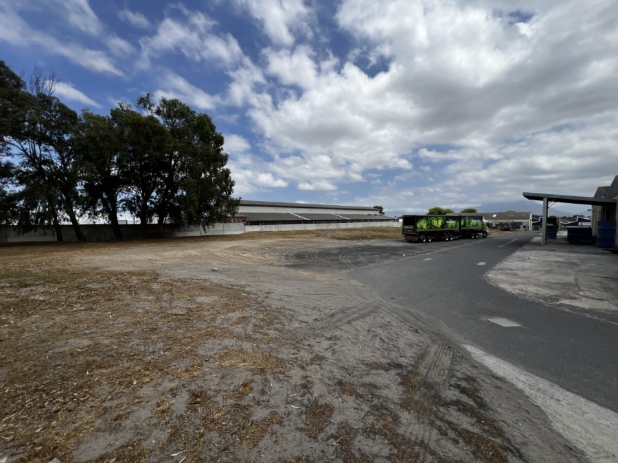 To Let commercial Property for Rent in Parow Industrial Western Cape